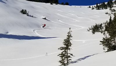 Ski Touring and Splitboarding Around Sunshine Village