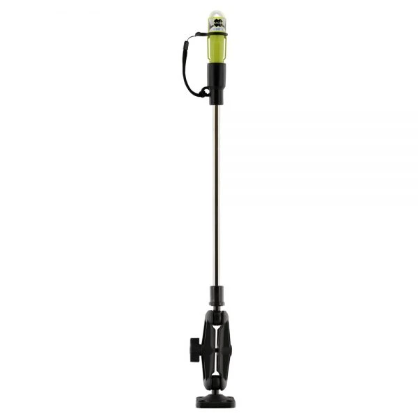 Scotty Sea-Light with Ball Mount 838