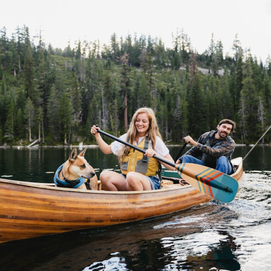 Bending Branches Horizon Paddle