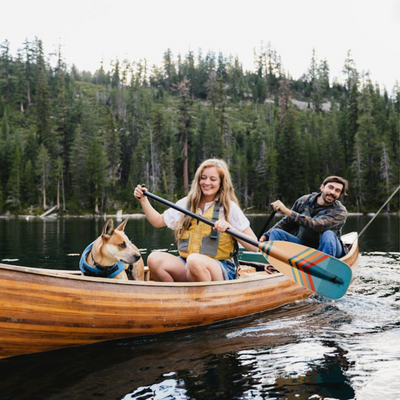 Bending Branches Horizon Paddle