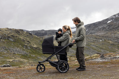 Thule Bassinet