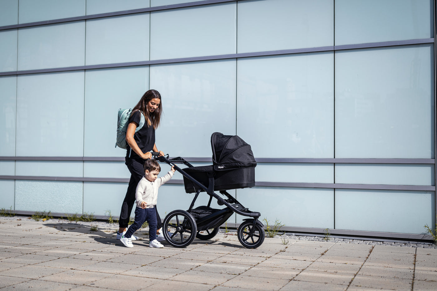 Thule Bassinet