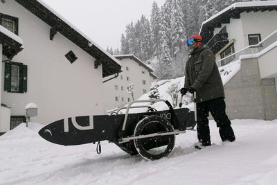 Thule Reacha Sport Bike Trailer