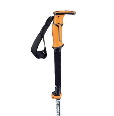 BCA Scepter 4S Folding Poles