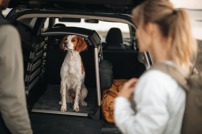 Thule Allax Dog Crate